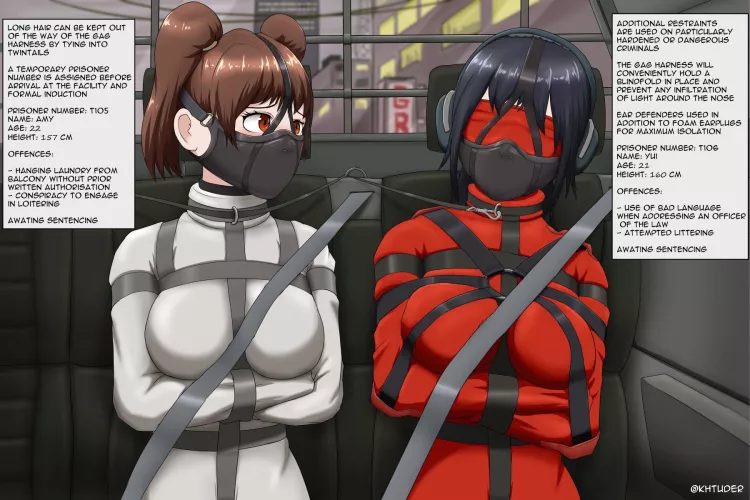 Transporting dangerous criminals