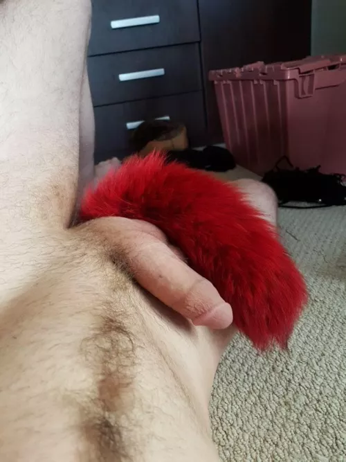 *Wags Tail* could we hang out?