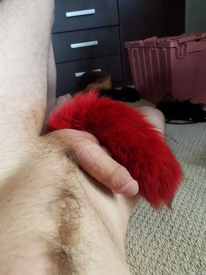 *Wags Tail* could we hang out?