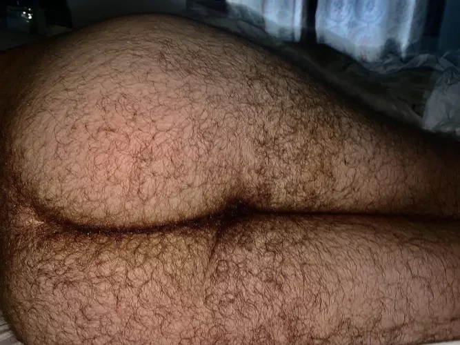 Waking up on a lazy Sunday.