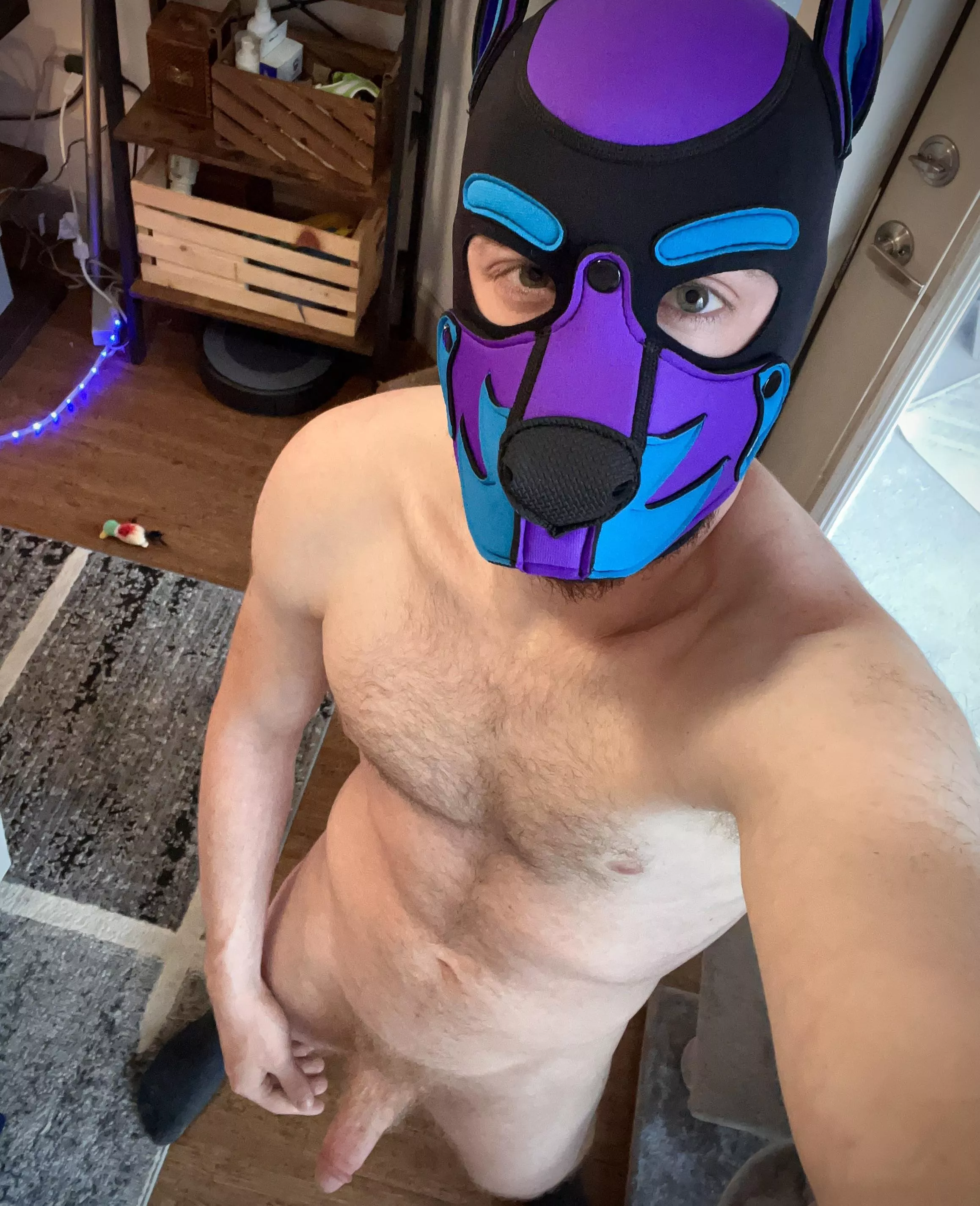 Would you like a treat?