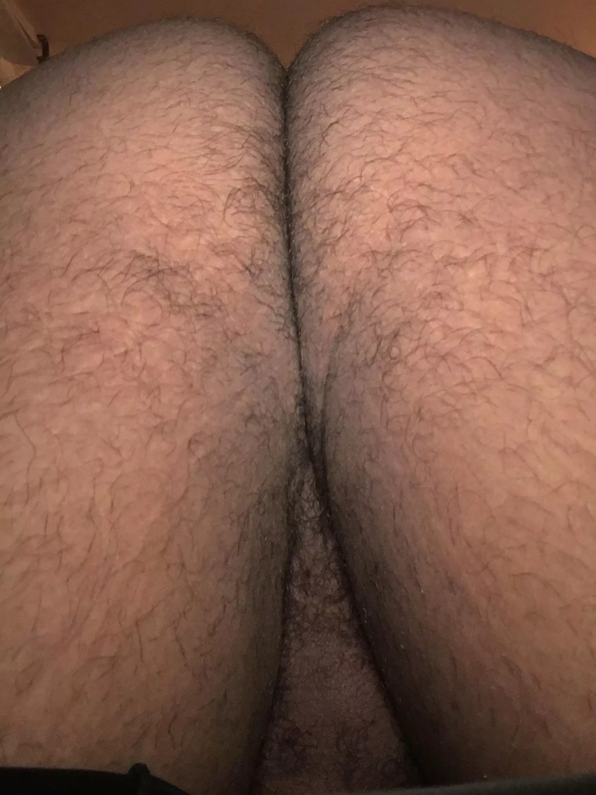 You want this ass for Christmas?