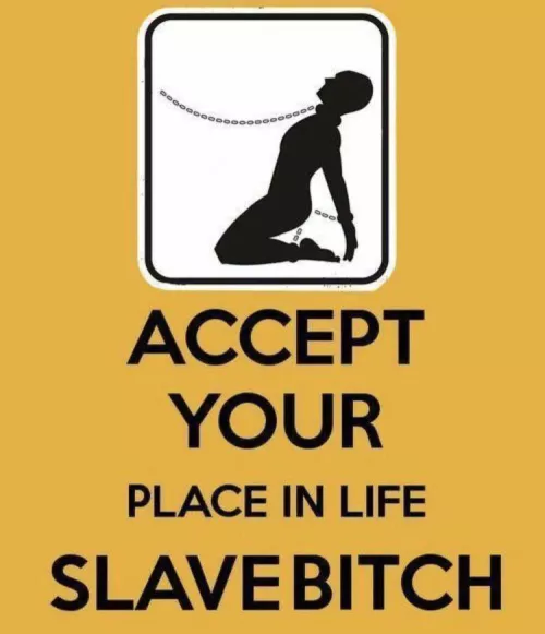 Your only purpose is my entertainment