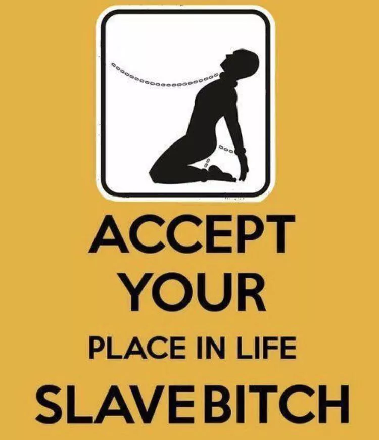 Your only purpose is my entertainment