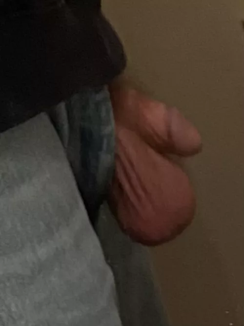 (58) Dad has fertile big balls.