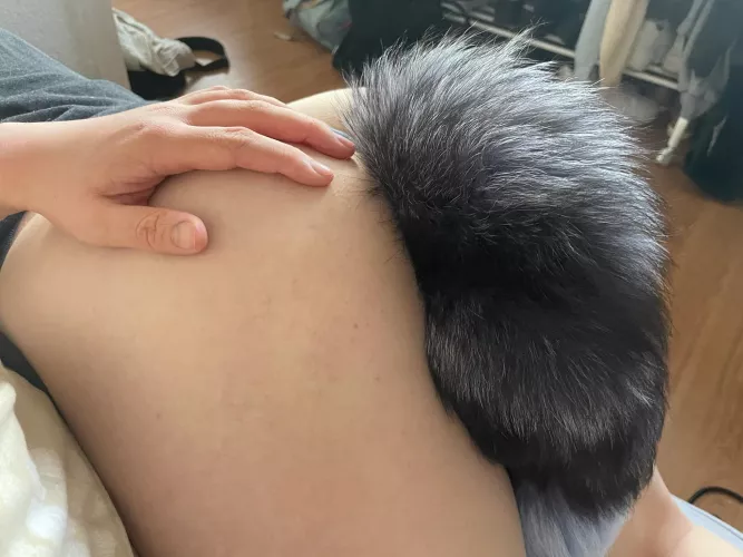 a good pup over master’s lap