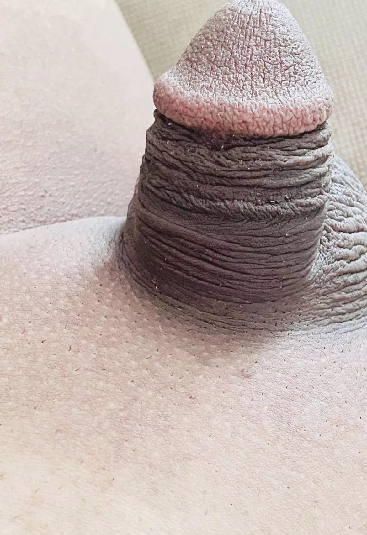 Any blackballed wanna give his asshole !