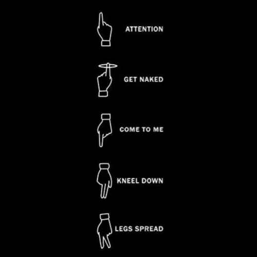 Anyone else think the use of subtle hand gestures to command subs is like SUPER hot or just me?