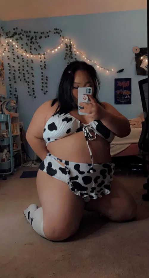 asian bbw cow girl 🐮💕