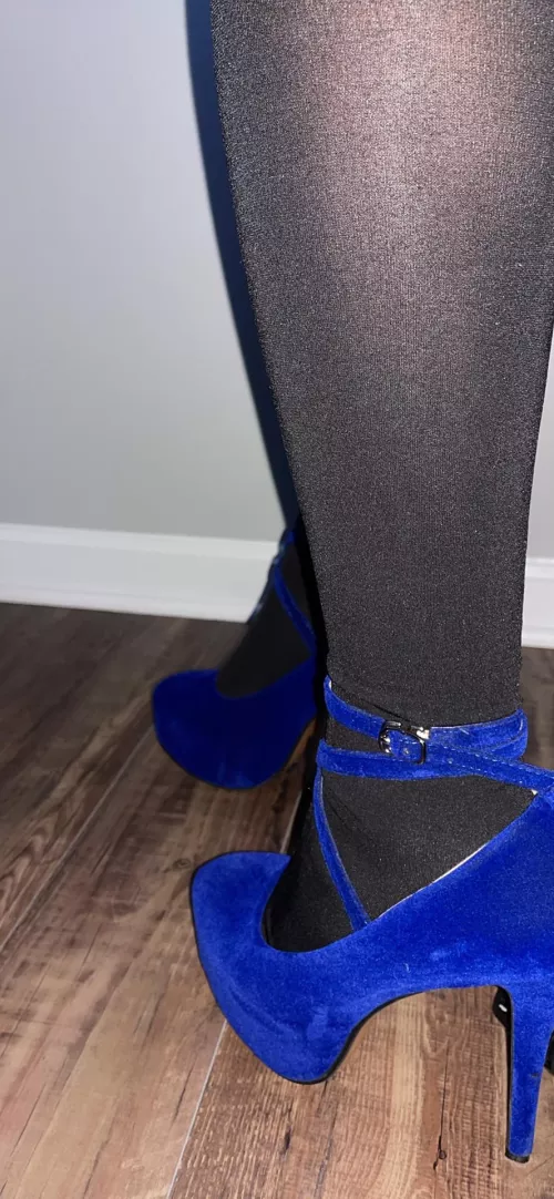Blue heels tonight