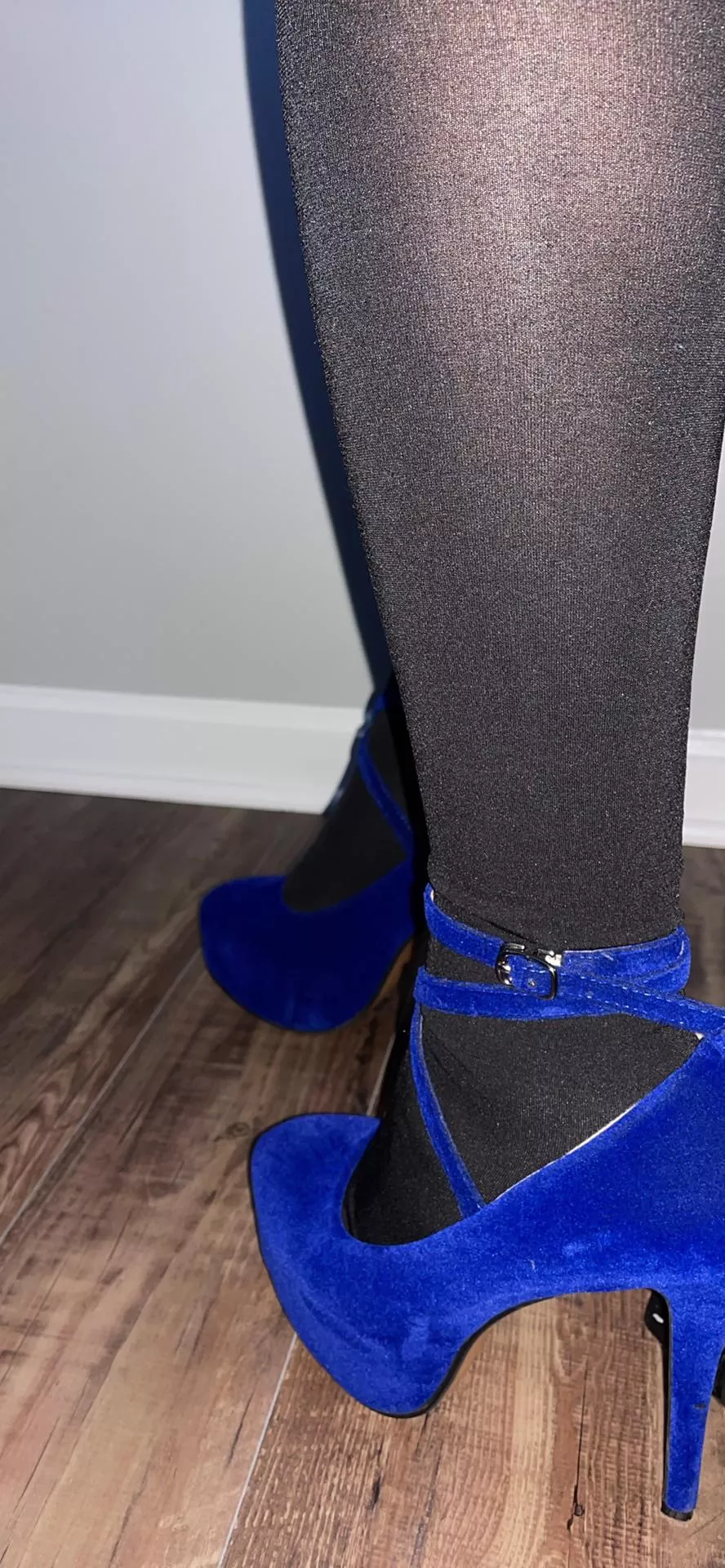 Blue heels tonight