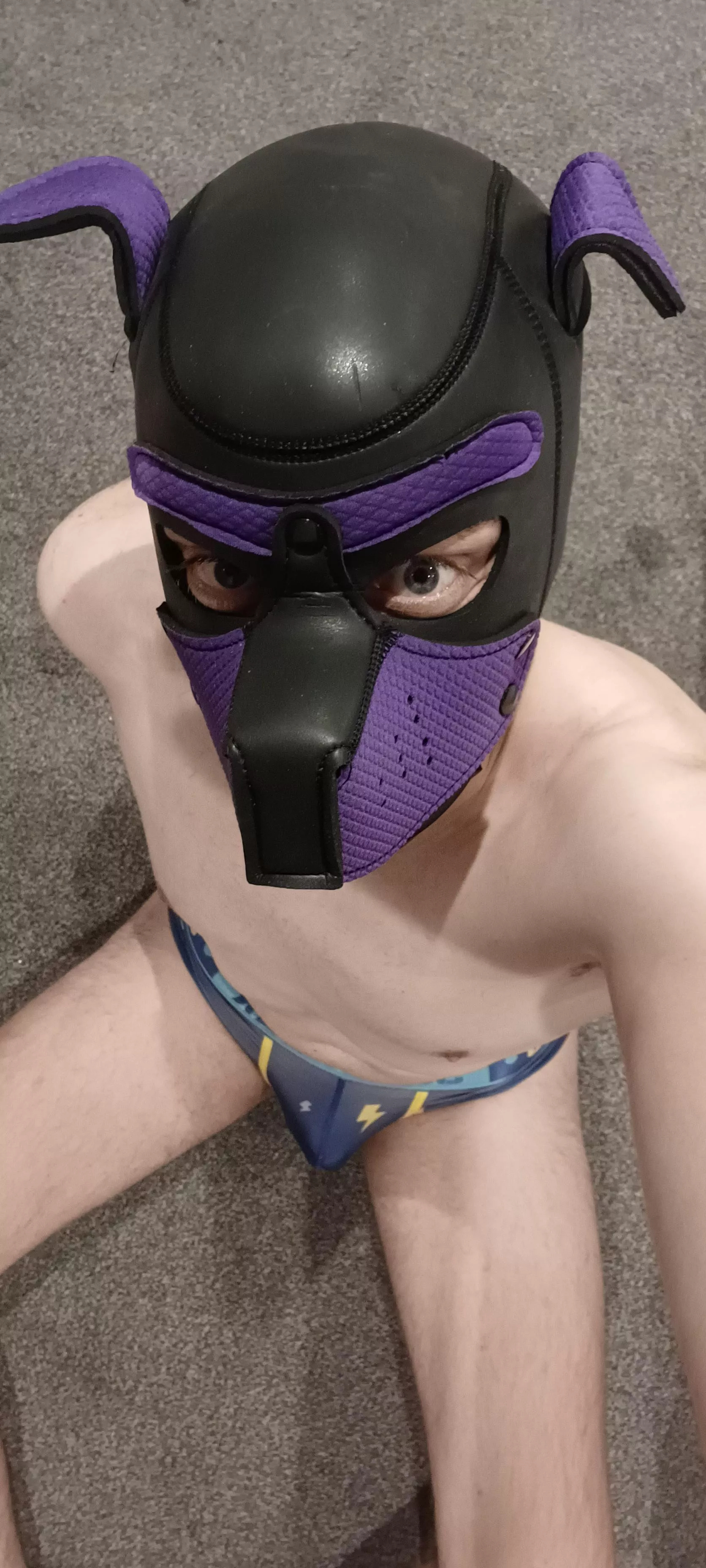 Don't mind me down here, just a pup hanging in his favorite briefs