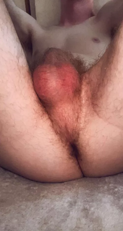 Ginger sub with breeding kink, hmu if you’d flood my insides