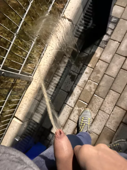 Good morning! How are you?