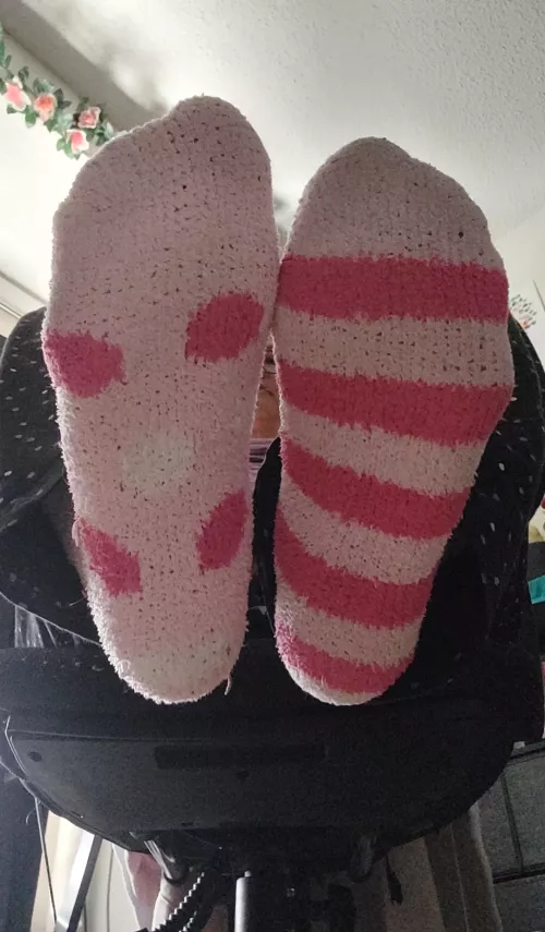 I'd love to put these in your face