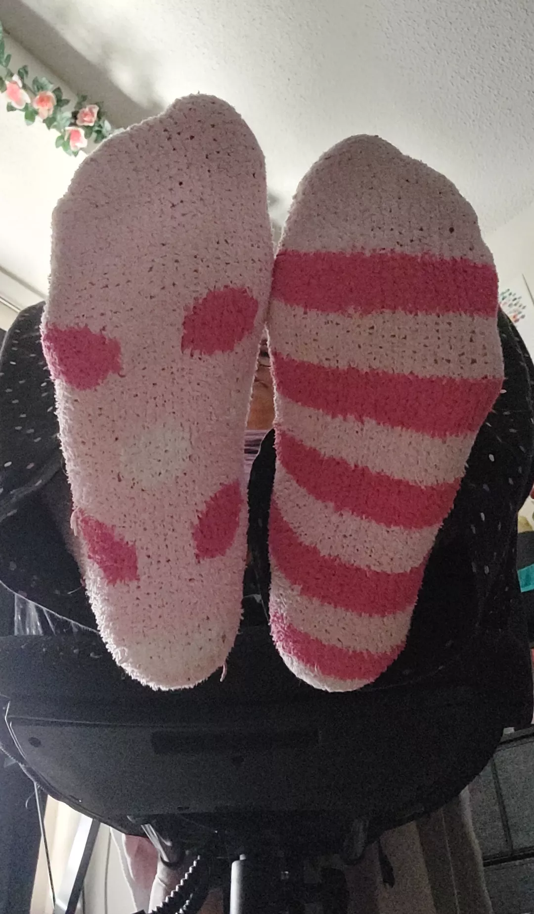 I'd love to put these in your face