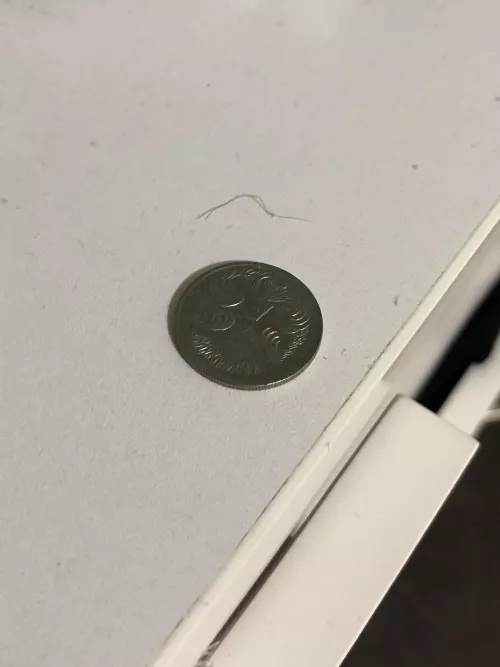 Ingrown hair plucked from armpit (coin for scale)
