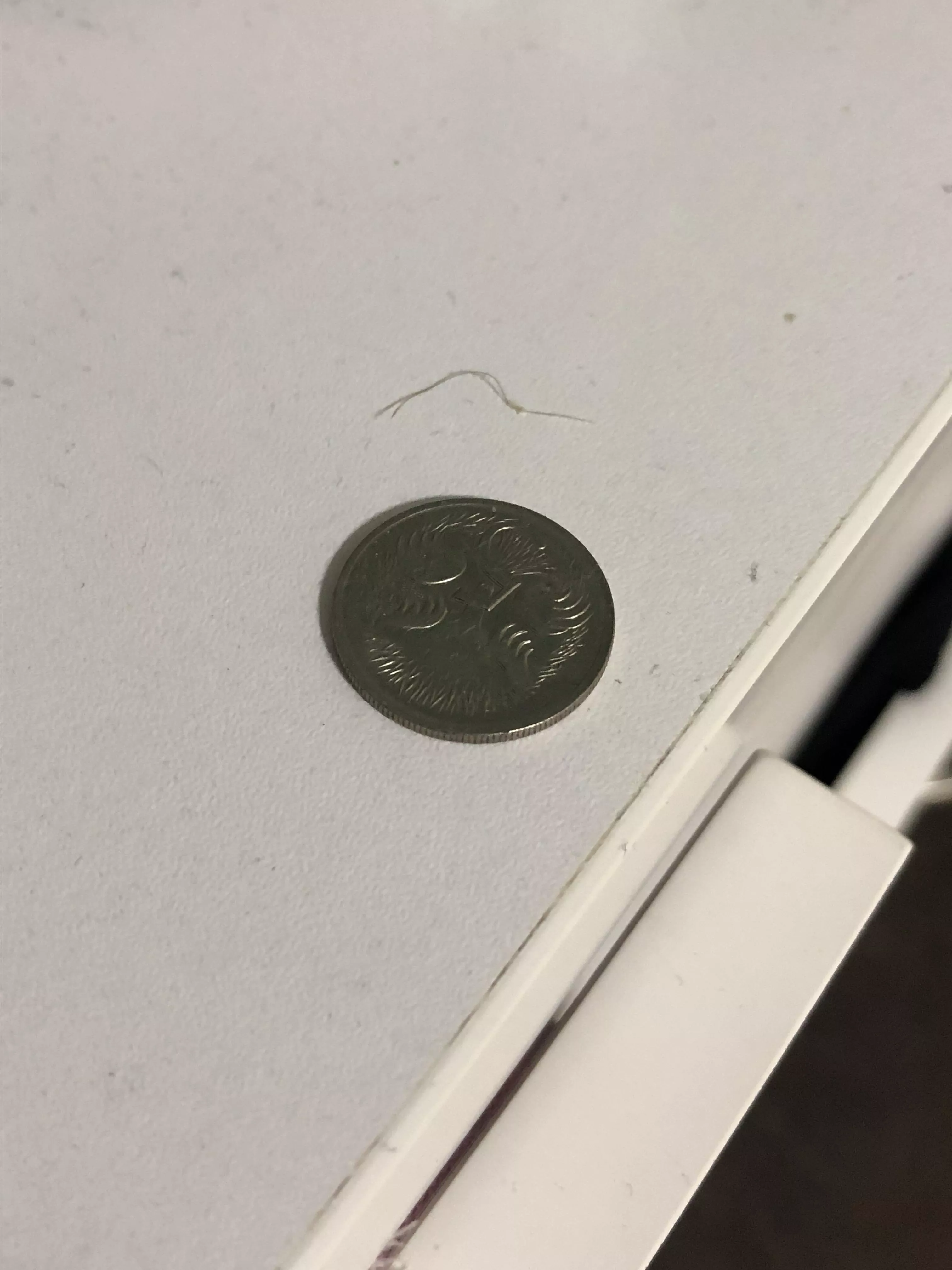 Ingrown hair plucked from armpit (coin for scale)