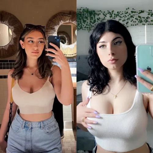 IRTR Persian o r the Arab