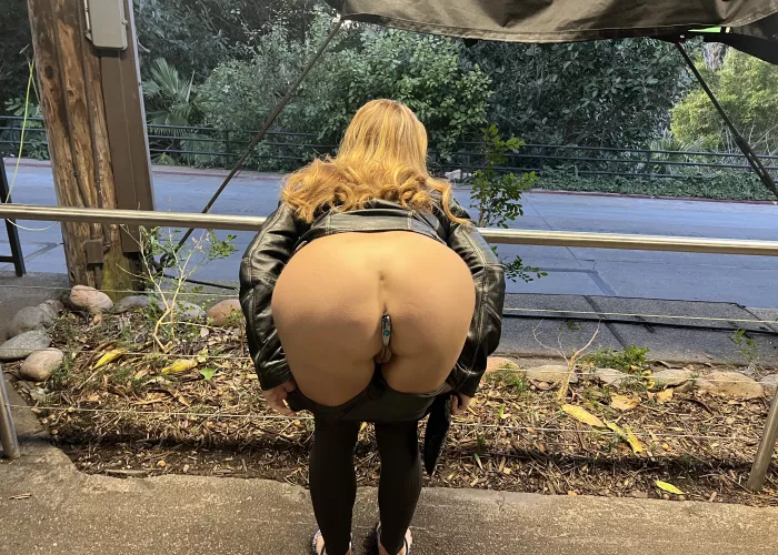 Just a quick little flash at the zoo!