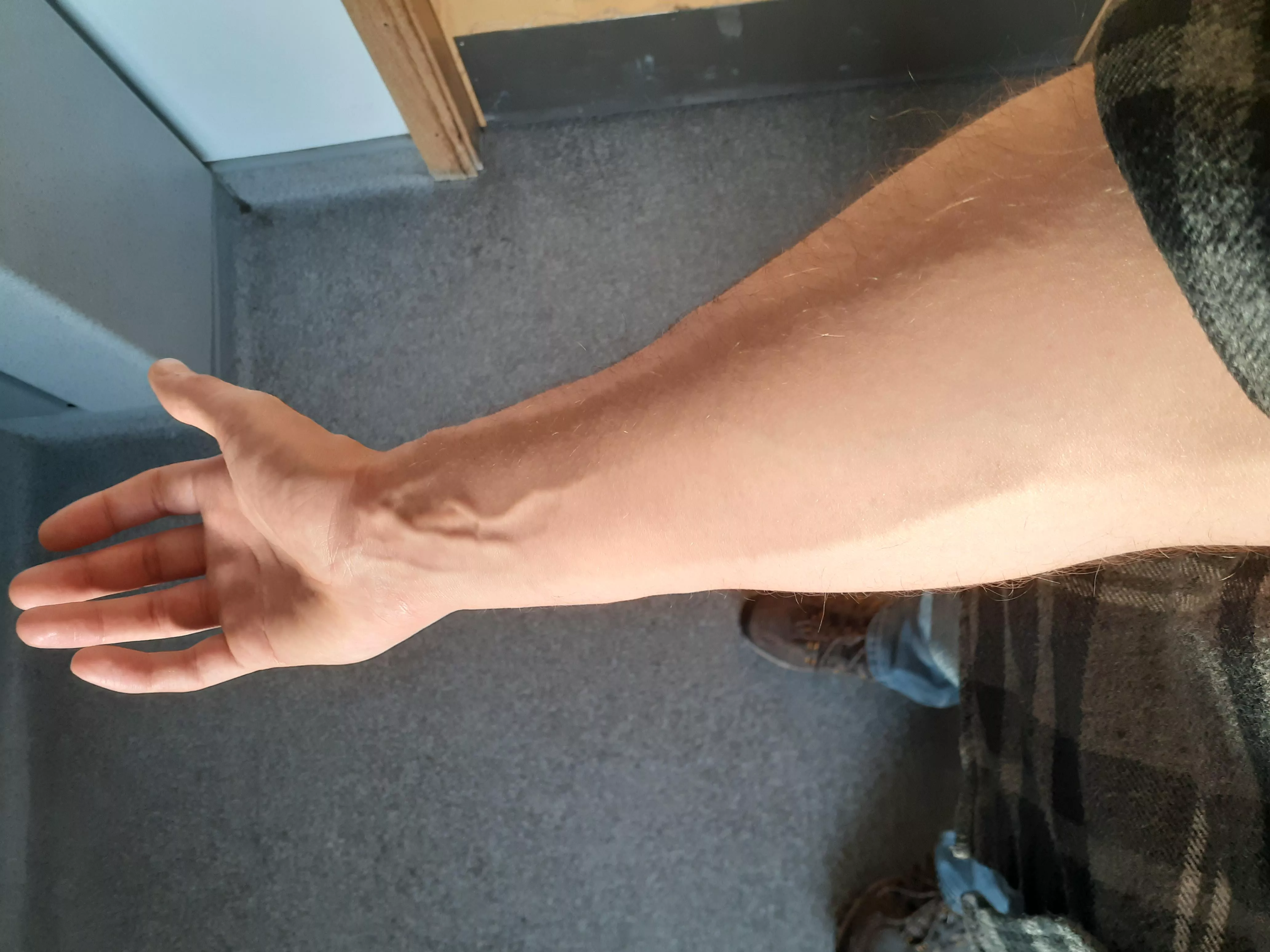 Liked how the light was hitting this morning 😄