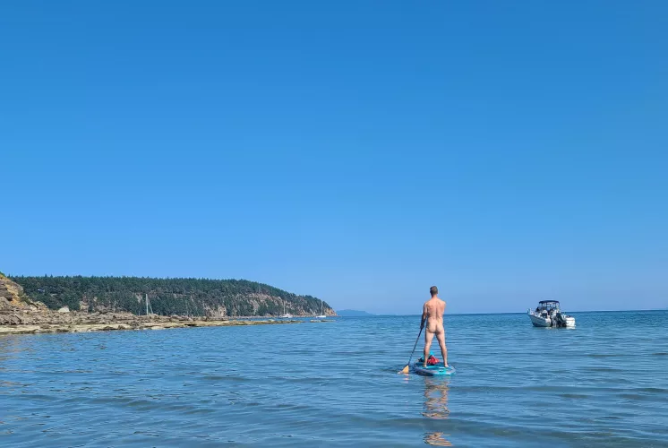 missing summer paddles