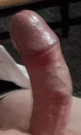 my erect cock needs sucking