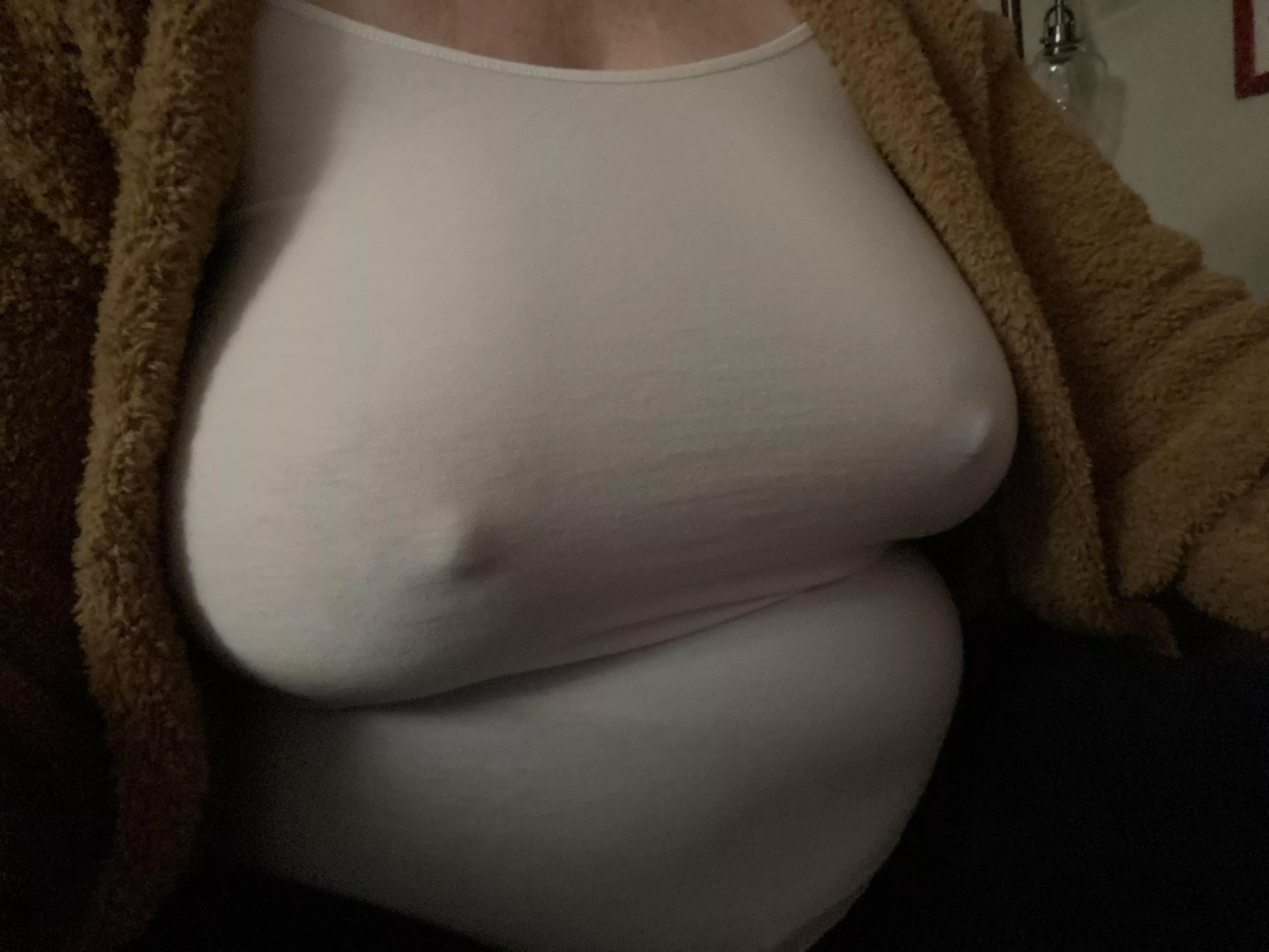 My kitty dressed for a morning coffee date