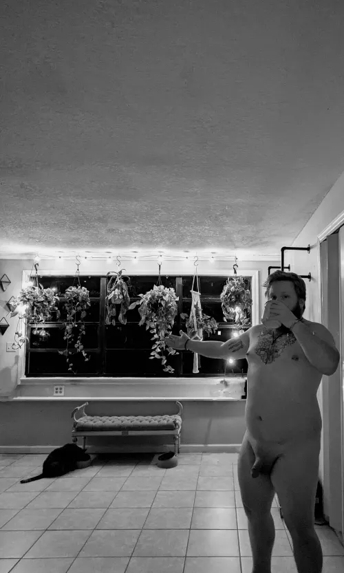 Plants, cats and coffee!