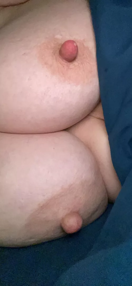 Please lick and suck them