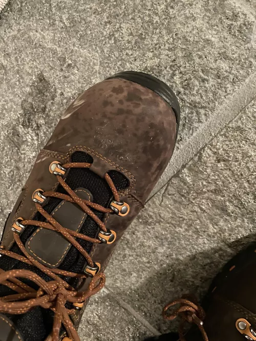 Splashed diesel on my new danners at work today, how do I get these spots out?