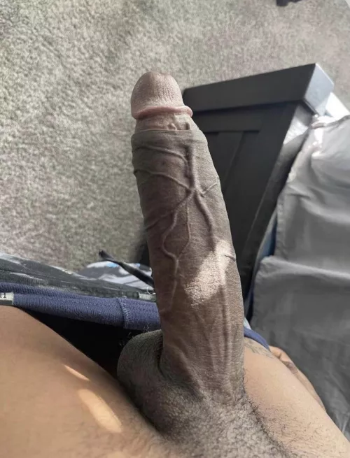 this chaser cock would love a ride 😏
