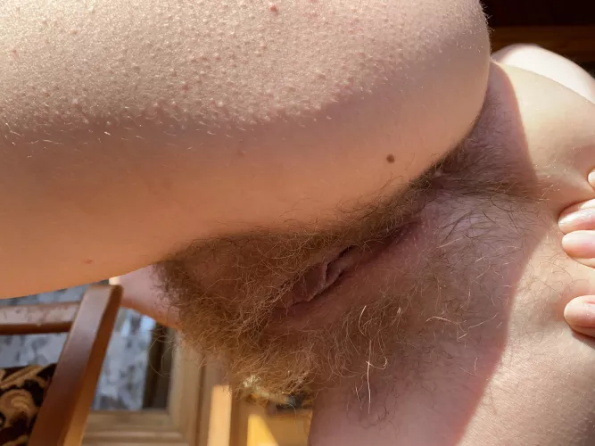want to hide your nose in my ginger ass?