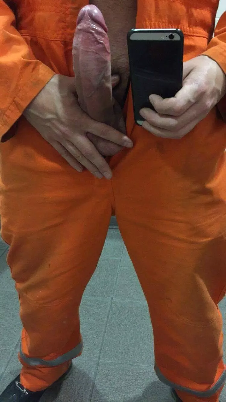 Which one would you rather play with?