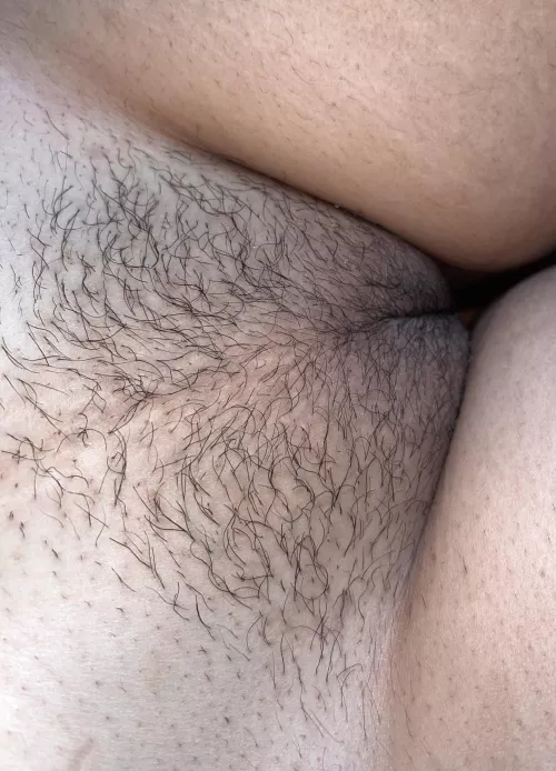 will you please ruin my dirty hairy cunt? 🥺