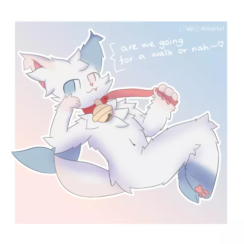 will you take him for a walk?