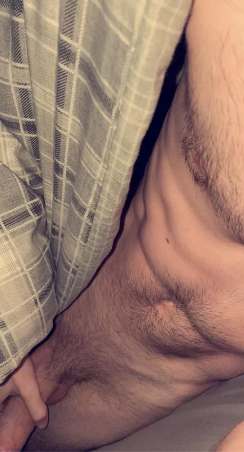 Working on getting the Bush back