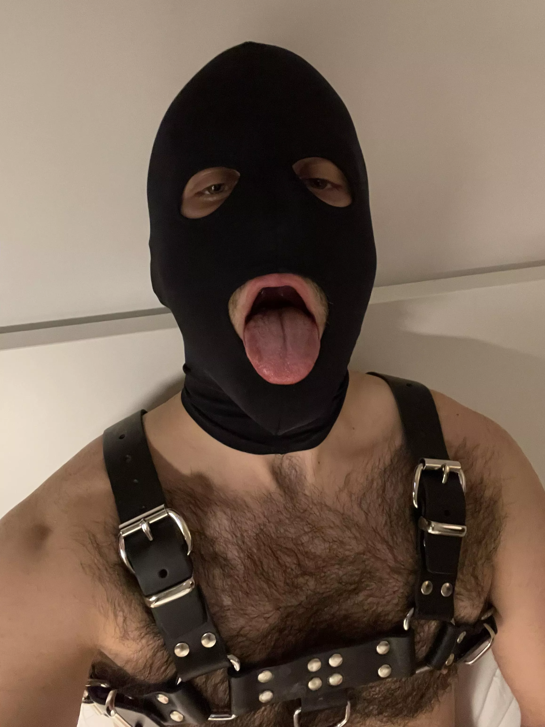 You guys into kinky otters?