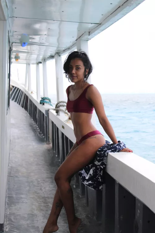 you like what you see ?