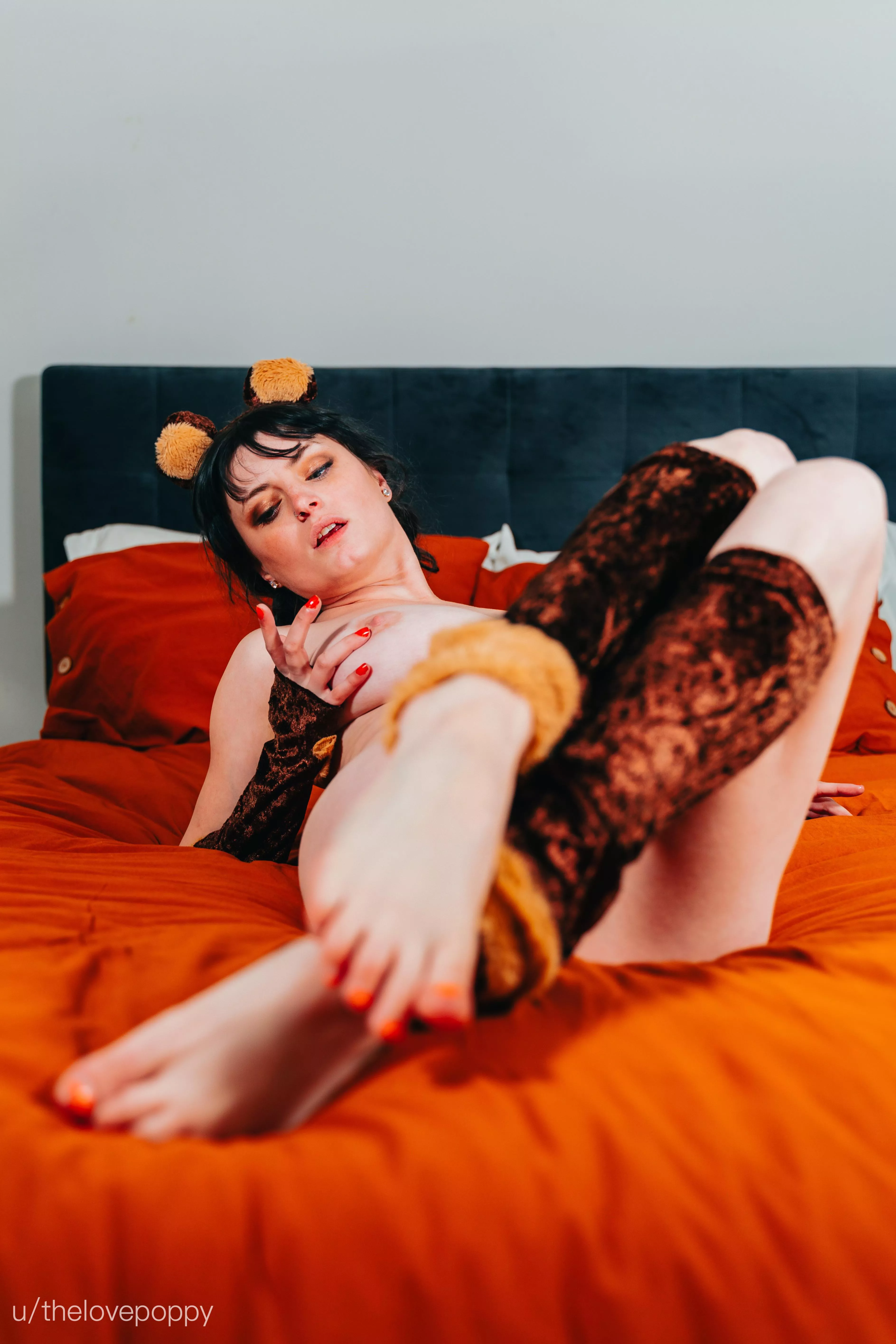 Your cute lil bear cub