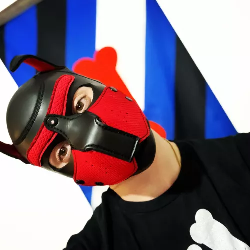 🐾🖤💙🖤💙🐾