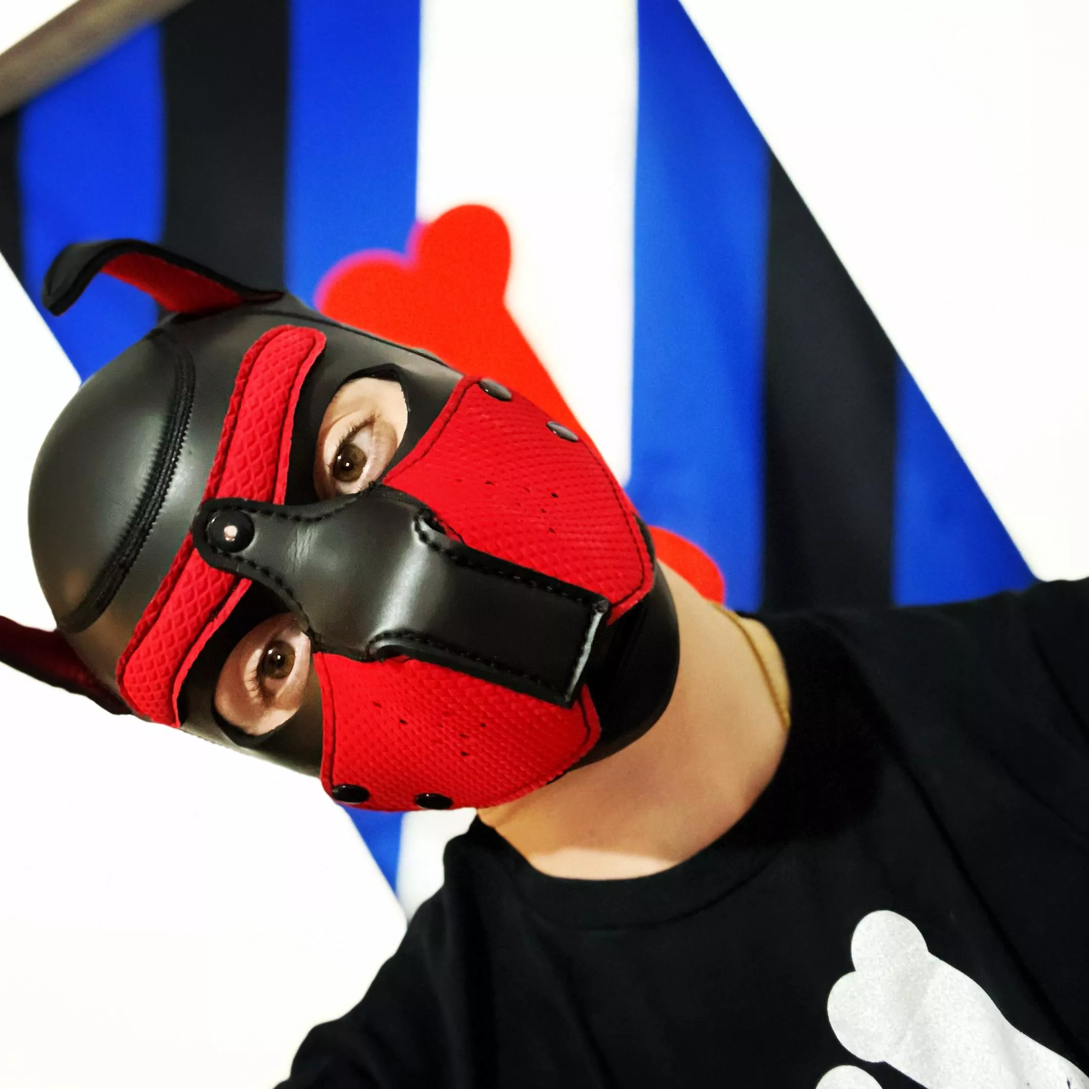 🐾🖤💙🖤💙🐾