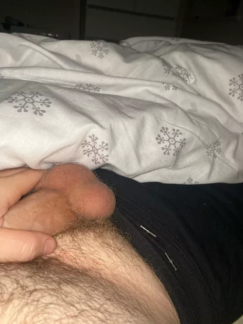 20 hairy ish chub. Any smooth lads or anyone older than 35+ face+ verbal + add e.beir22
