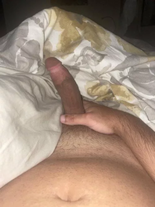 20m arab top for bottom snap Abod547