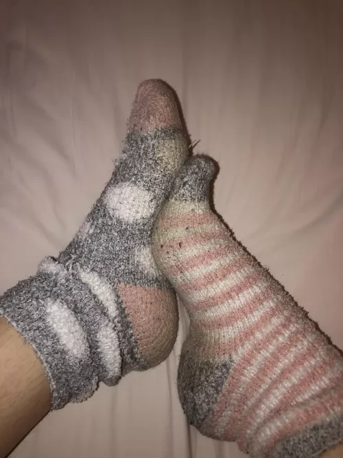 a fuzzy sock kind of day🥰 wanna come take a sniff?