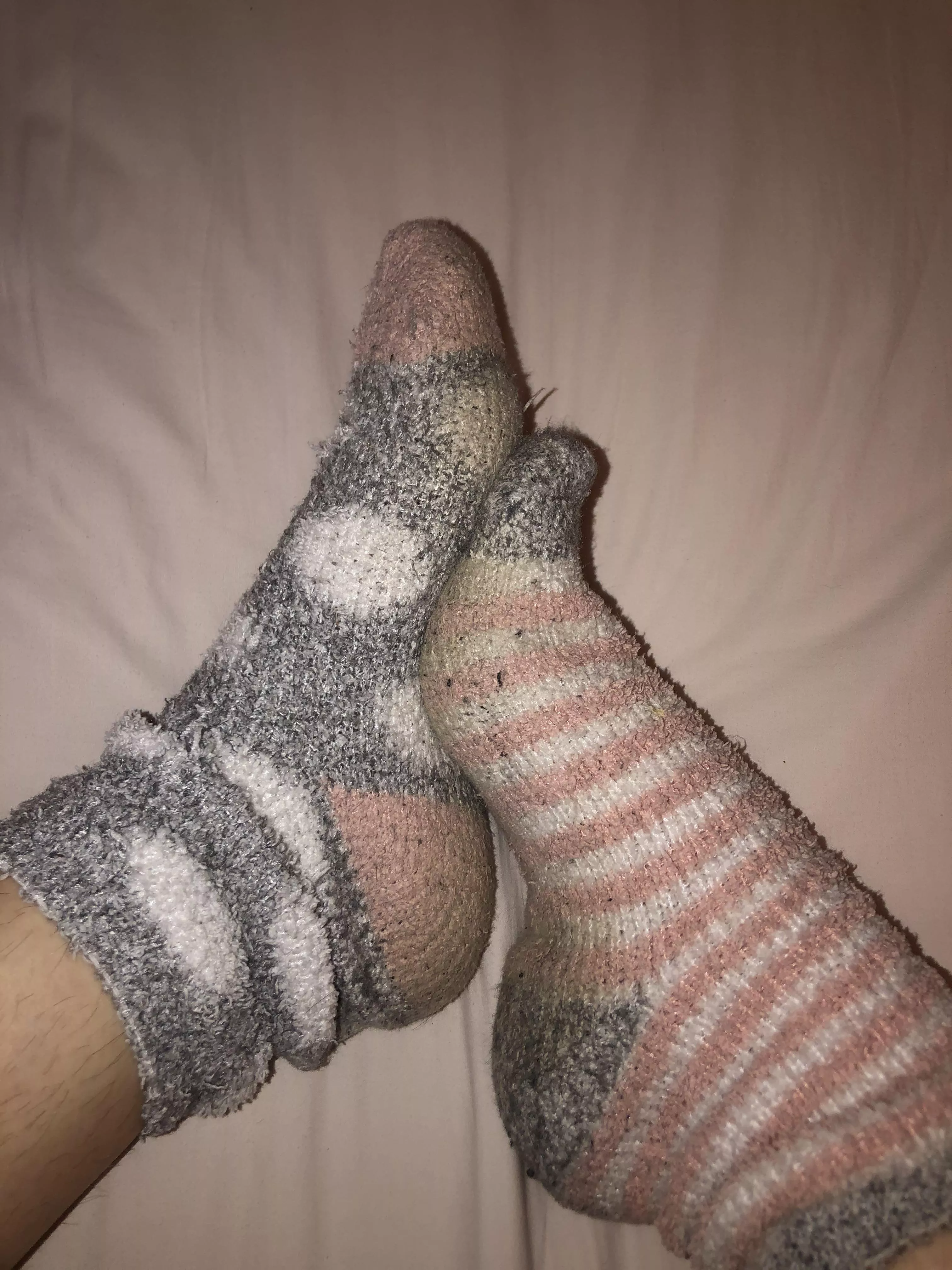 a fuzzy sock kind of day🥰 wanna come take a sniff?