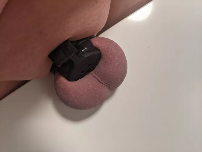 Am I wearing this properly?