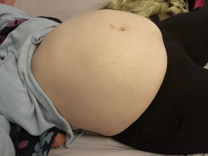 big round bellies need to be rubbed