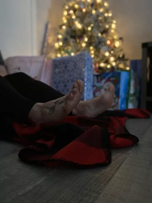 Can I be your gift this year?