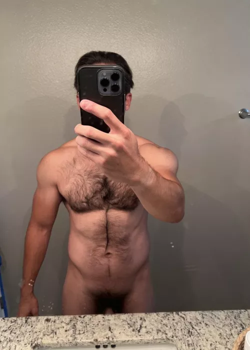 can you see the forest through the trees